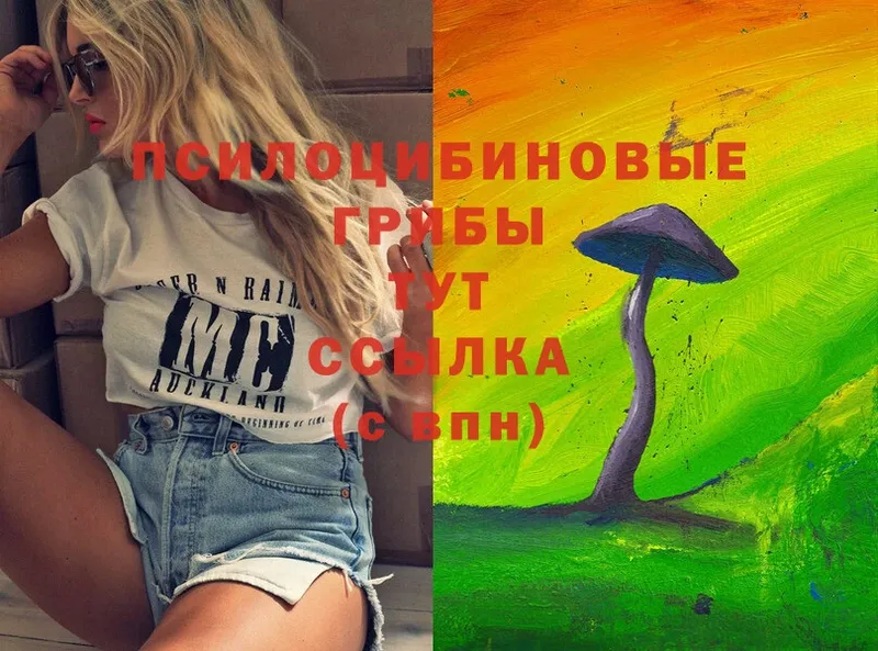 Галлюциногенные грибы Cubensis  Егорьевск 